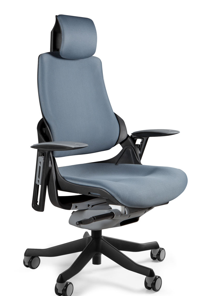 Office chair WAU black Fabric BL adjustable lumbar vertebrae FRAME black COLOUR SLATEGREY EDRALO