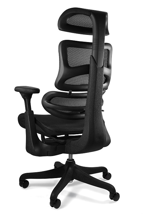 Ergonomic Office chair ERGO-THRONE black