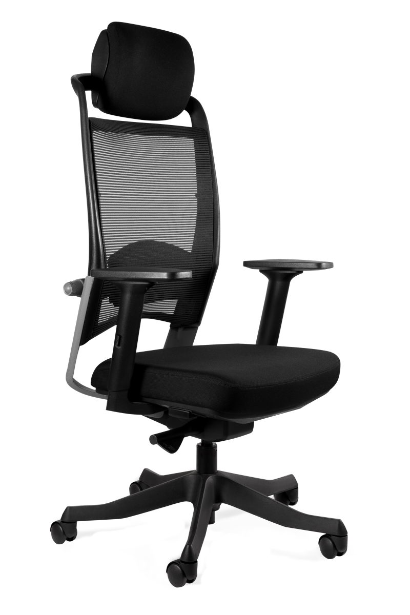 Office chair UNIVERSUM  with lumbar support